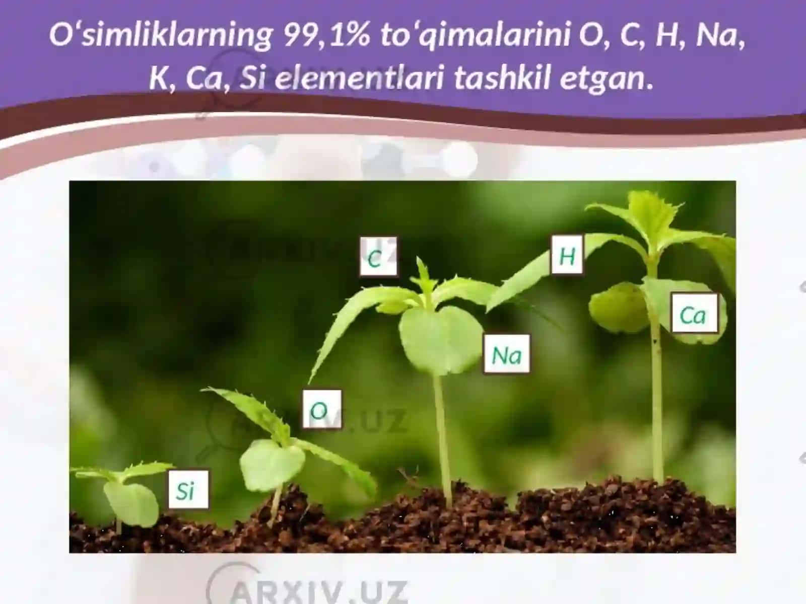 Biogen elementlar 4