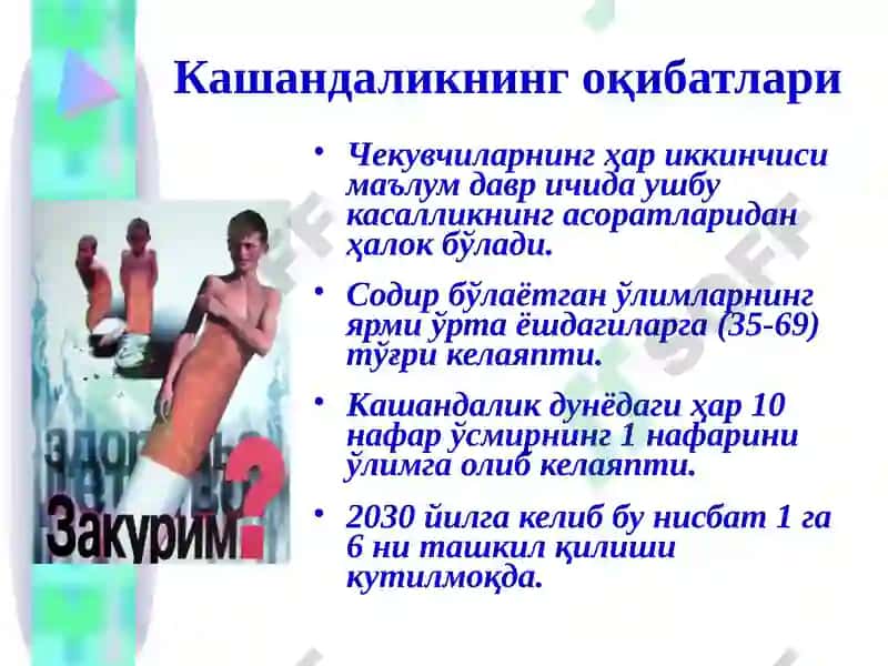 Кашандалик 5