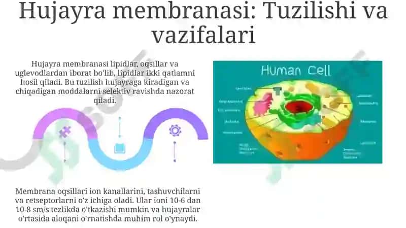 Hujayratuzilishi, Hujayranazariyasi, Genetikinjeneriya 5