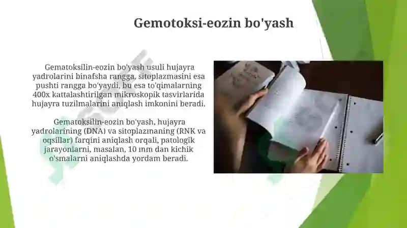 Gistologiya fanida qoʻllaniladigan oʻrganish usullari 5