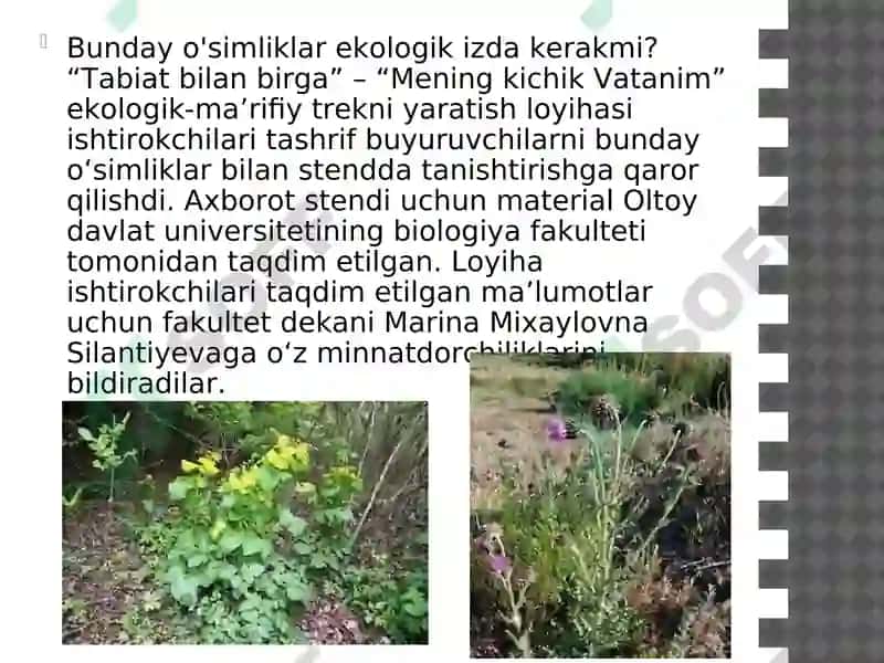 O’zbekistonning adventiv o’simliklari 5