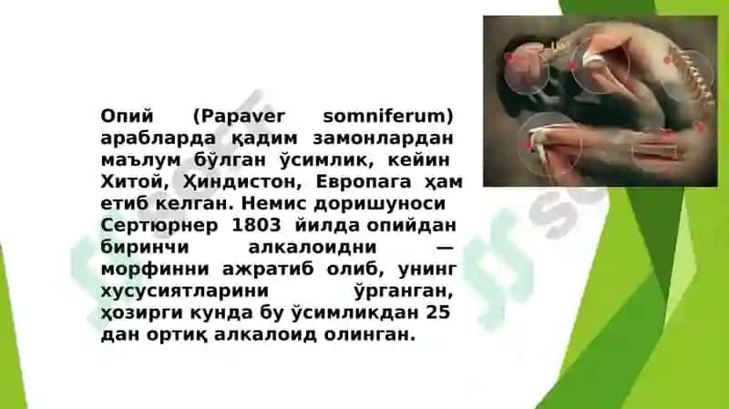 Оғриқ қолдирувчи моддалар 5