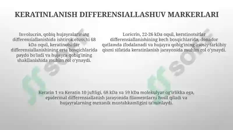 Keratinizatsiya jarayonlari haqida zamonaviy tasavvurlar 5