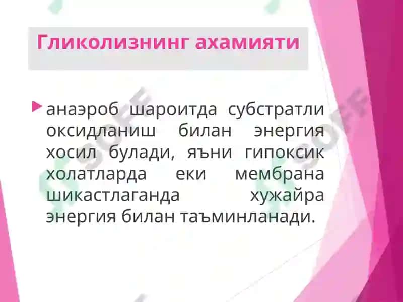 Гликолиз, гликолизнинг ахамияти, глюкоза биосинтези, гликолиз ва глюконеогенезнинг бошқарилиши 5
