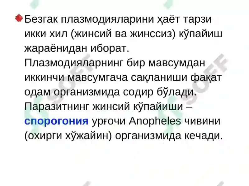 BEZGAK MALYARIYA, MALARIA 5