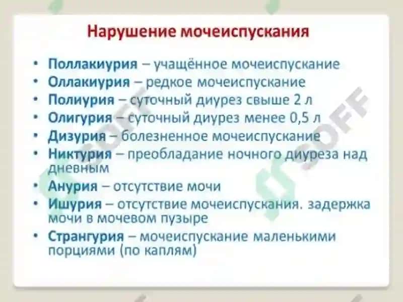 Siydik biokimyosi 5