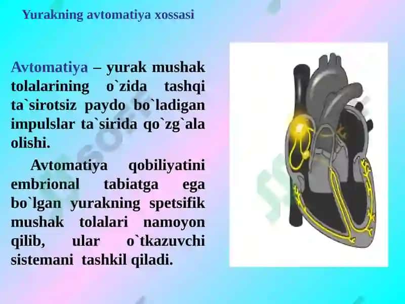 Yurak mushaklarining fiziologik vazifalari normal EKG 5