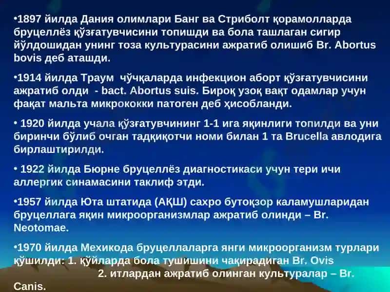 BRUTSELLYOZ 5