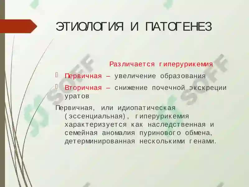 ПОДАГРА 5