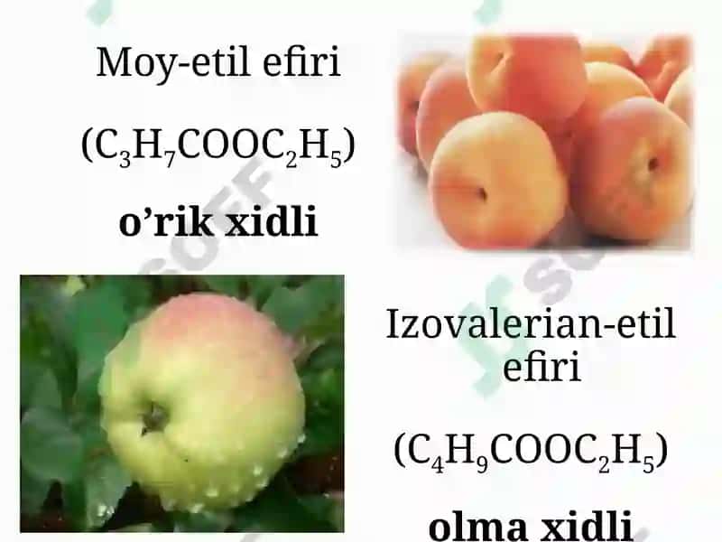 MURAKKAB EFIRLAR 5