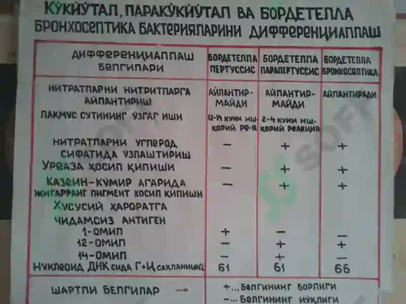 Havo-tomchi infektsiyalari qo’zg’atuvchilari. Bo’g’ma, ko’k yo’tal, parako’k yo’tal kasalliklarini mikrobiologik usullarda aniqlash 5