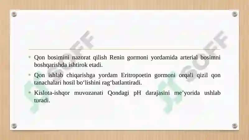 Buyrak haqida 5