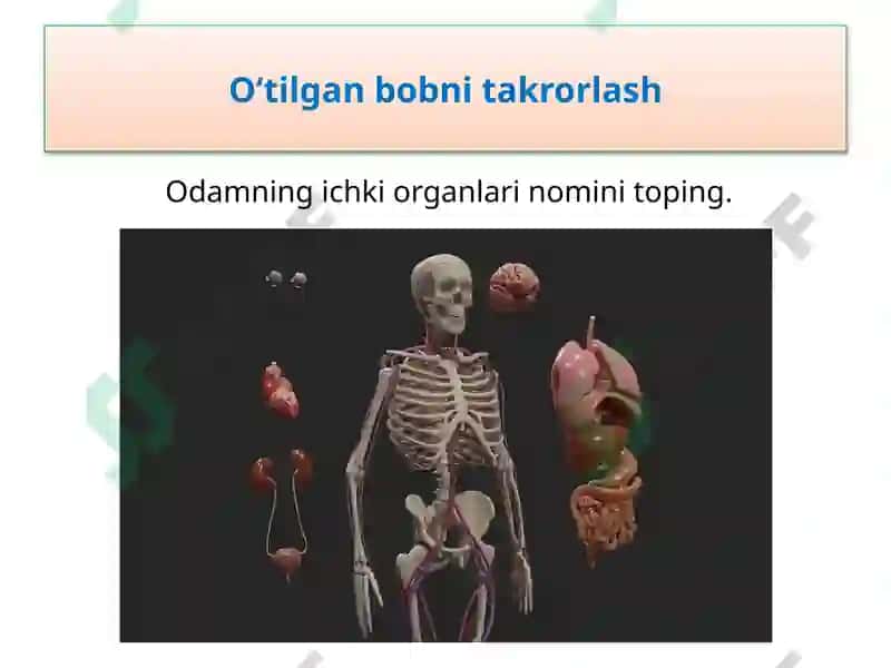 Iqlim 5