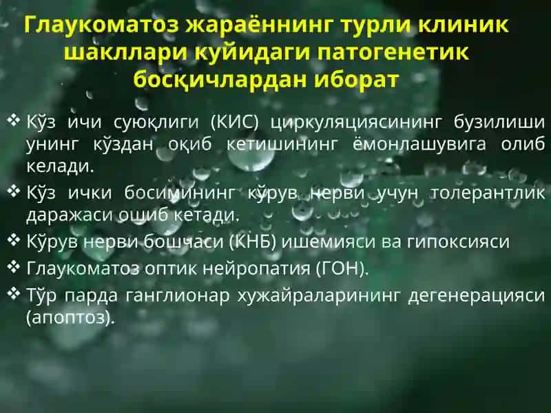 Глаукома 5