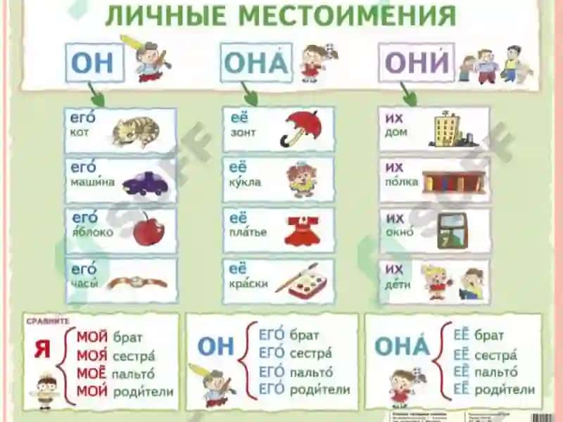 МОЯ СЕМЬЯ.Притяжательные местоимения 5