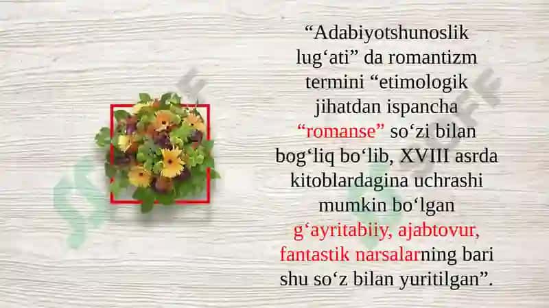 Romantizm adabiyoti 5