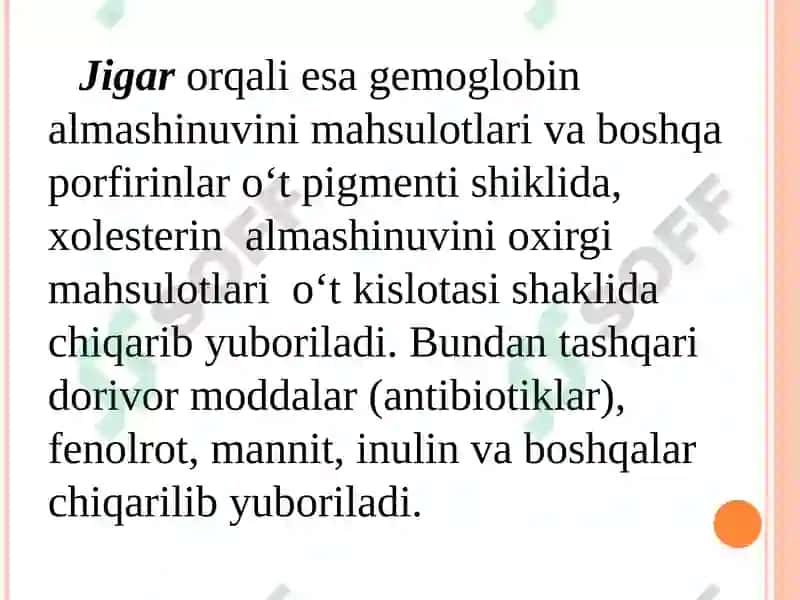 Ayirish Sistemasi Fiziologiyasi 5