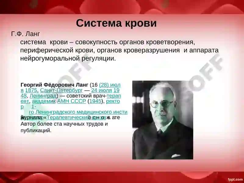 Qon tizimi 5