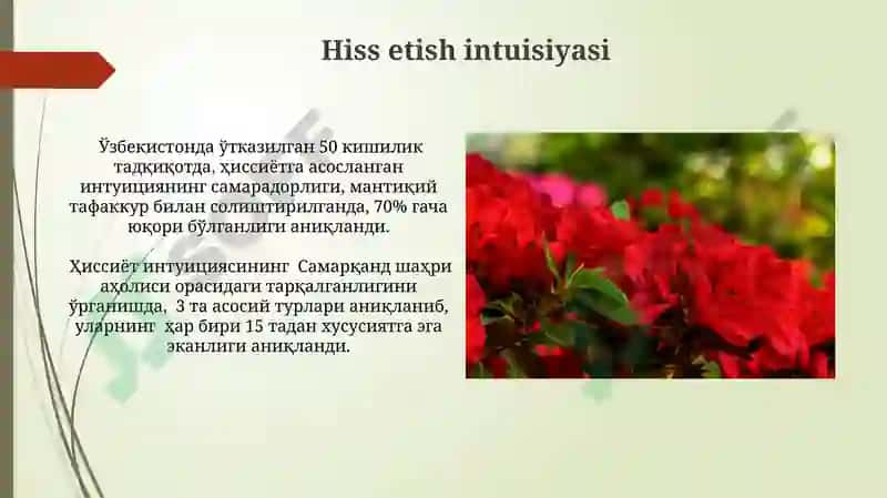 Ko'rish intuitsiyasi 5