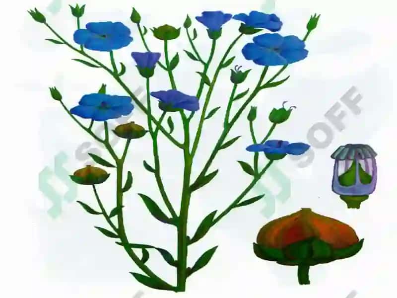 BIOTEXNOLOGIYA FAkulteti 5