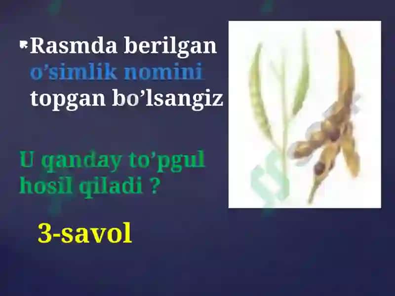 GAP NIMA HAQIDA KETYAPTI? 5