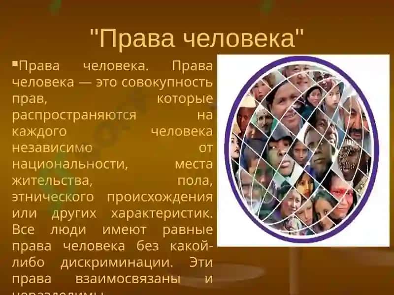 Международные стандарты права человека и механизмы защиты 5