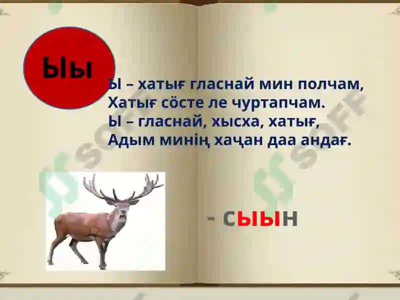 Гласные буквы 5