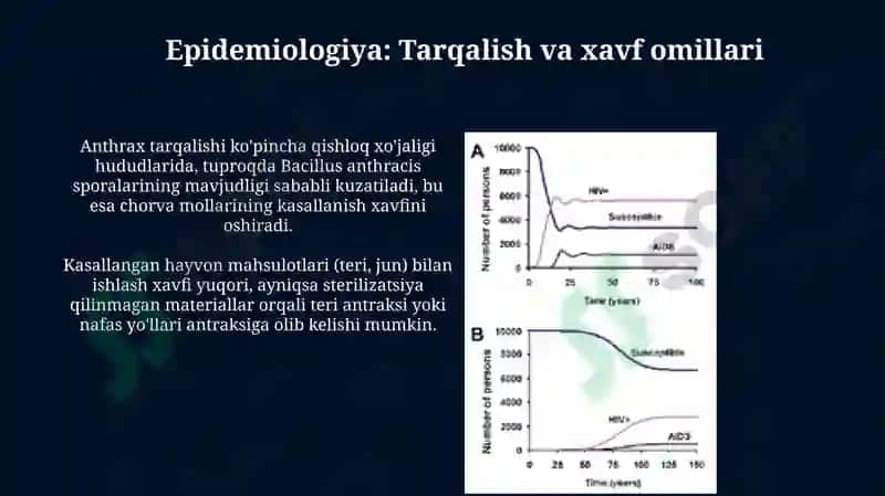 Anthrax - Bacillus anthracis 5