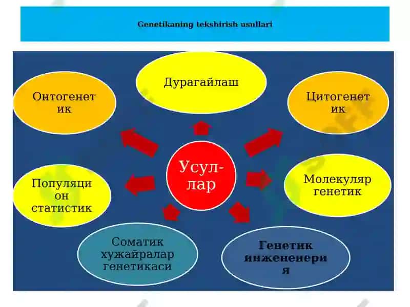 Umumiy genetika.Irsiyat vao‘zgaruvchanlik qonuniyatlari 5