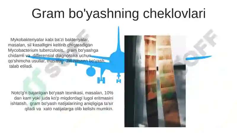 Gramm bo'yash usuli 5