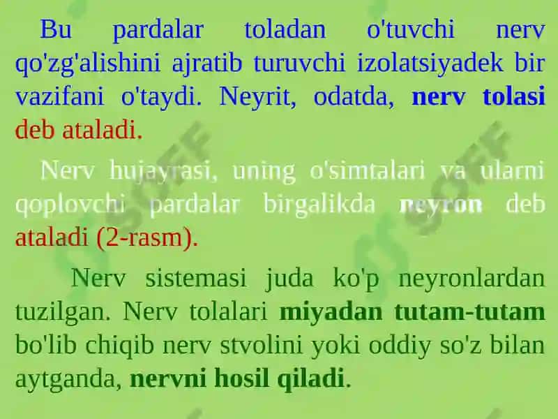 PSIXIKANING NERV-FIZIOLOGIK ASOSLARI 5
