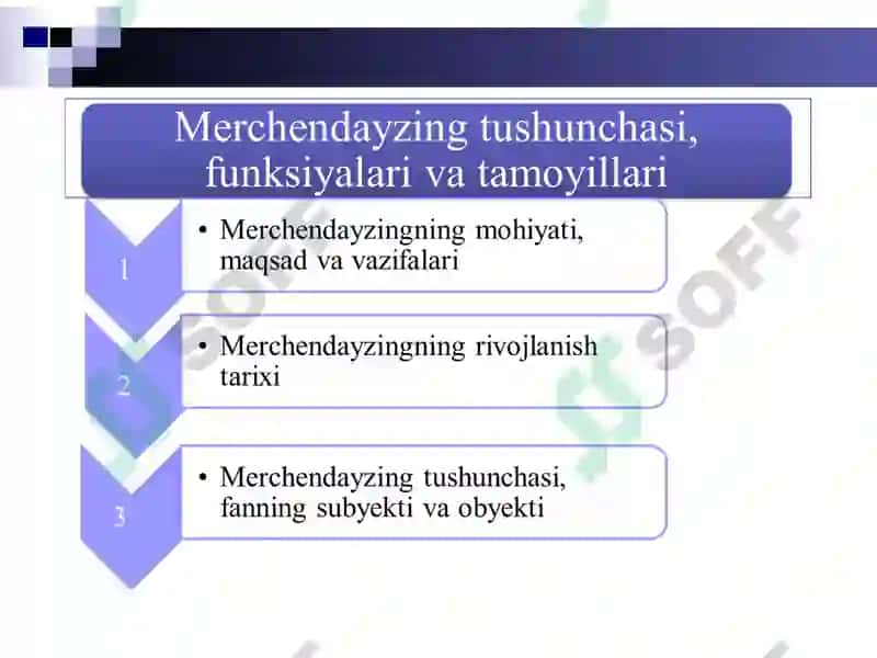 Merchendayzing 5