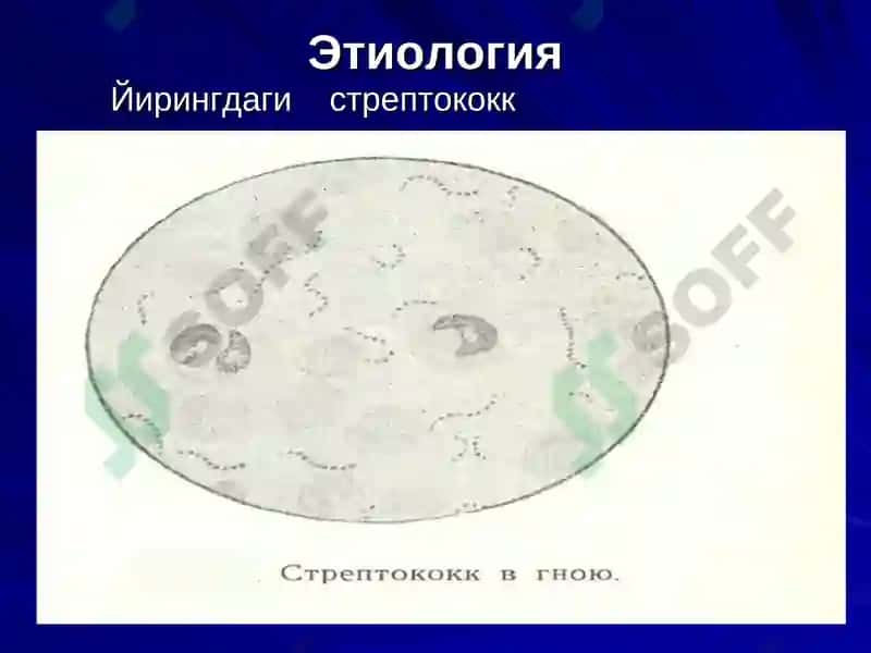Сарамас 5