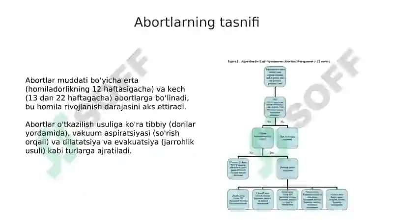 Ertalabki toksikoz va homiladorlikning birinchi yarmida yo'qotish xavfi 5