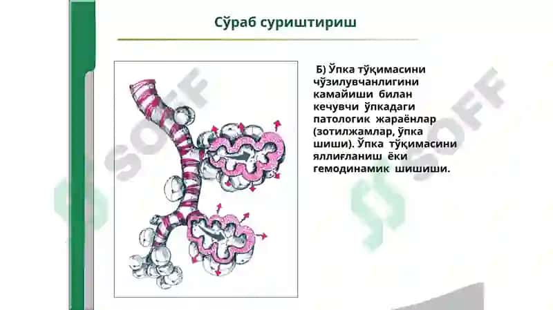 Хансираш 5