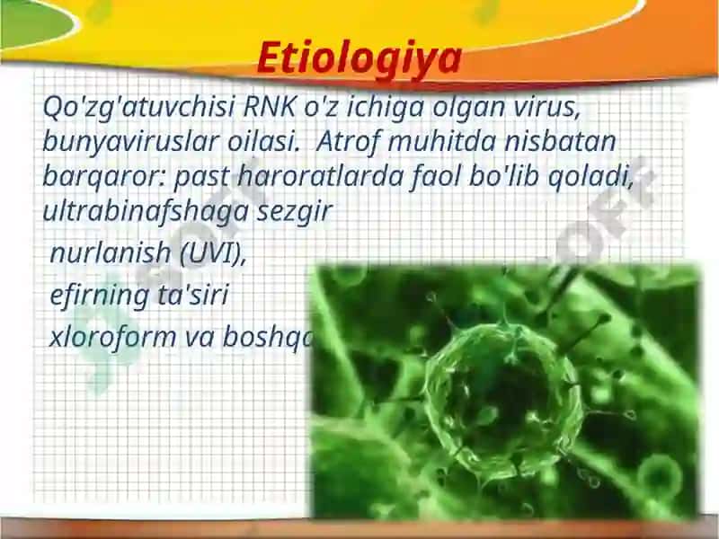 Gemorragik isitma 5