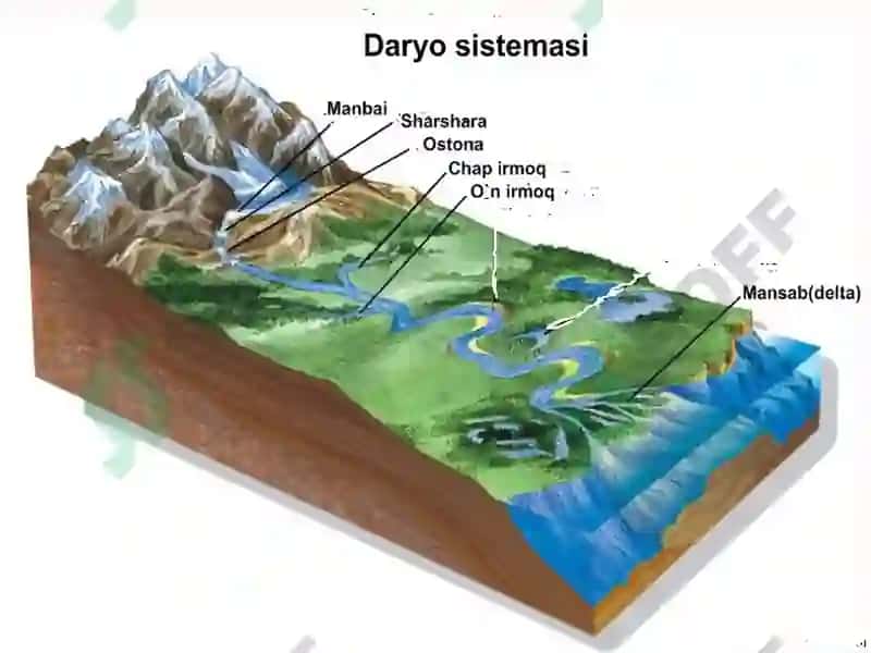 Daryolar 5