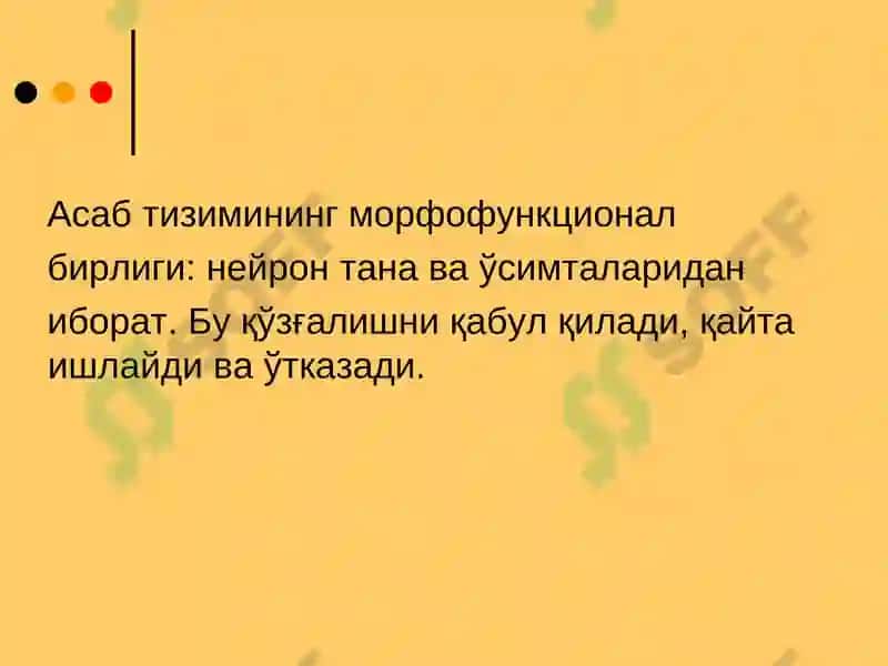 Асаб толаларининг ва синапсларнинг физиологияси 5