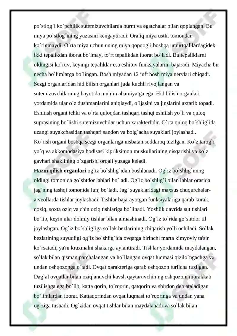 Sutemizuvchilar sinfi, ekologiyasi va evolyutsiyasi kurs ishi 5