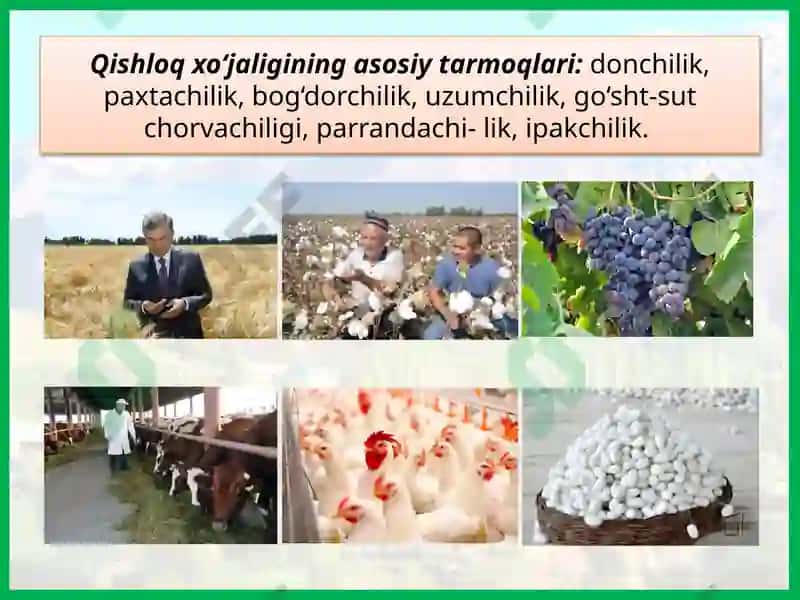 47-dars.FARG‘ONA VILOYATI 5