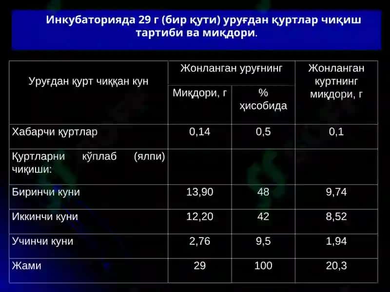 Инкубаторияни танлаш, ташкил этиш ва ипак қурти уруғини инкубацияга қўйиш муддатларини аниқлаш 5