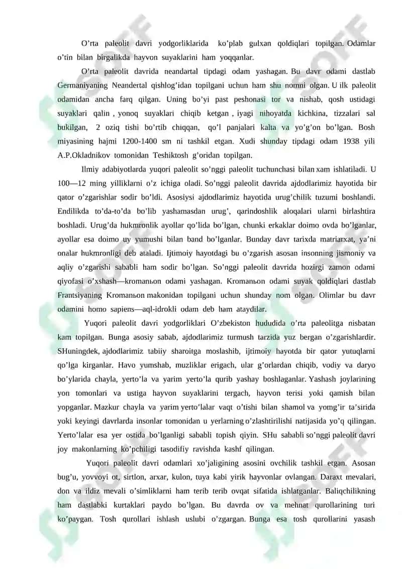 Paleolit davri xususiyatlari 5