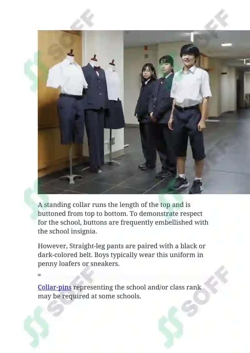 Japanese School Uniform 5