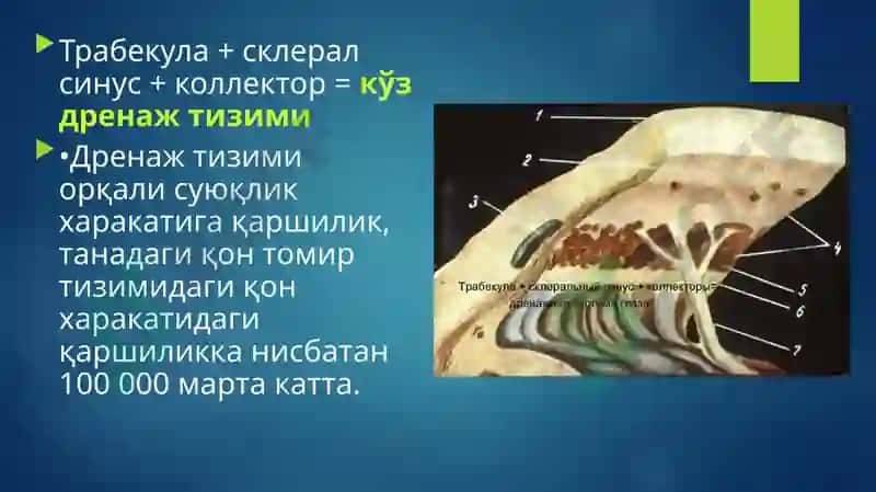 №3 МАЪРУЗА.КЎЗ ИЧКИ БОСИМИ ПАТОЛОГИЯСИ 5