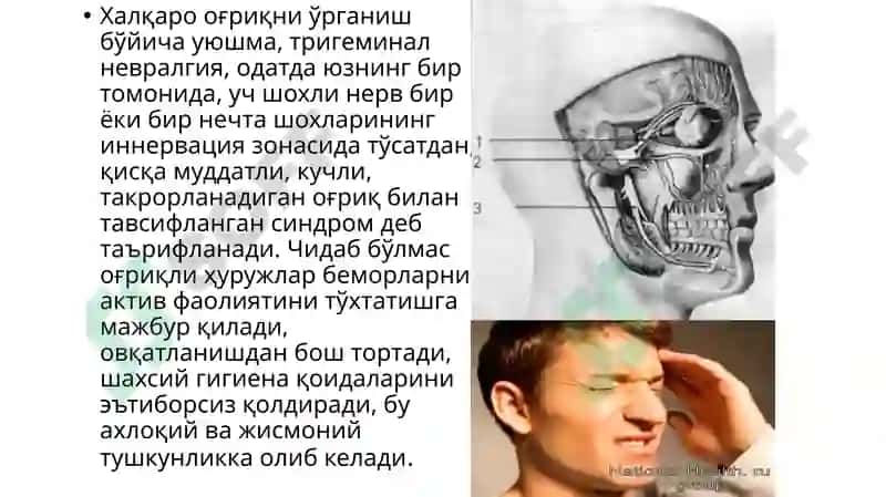Учшохли нерв 5