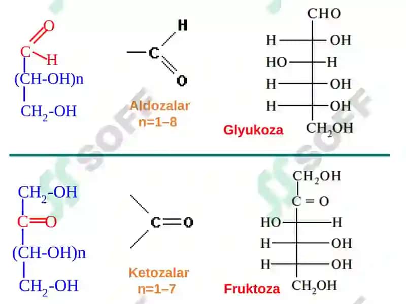 Uglevodlar Sho'rchi 2024 5