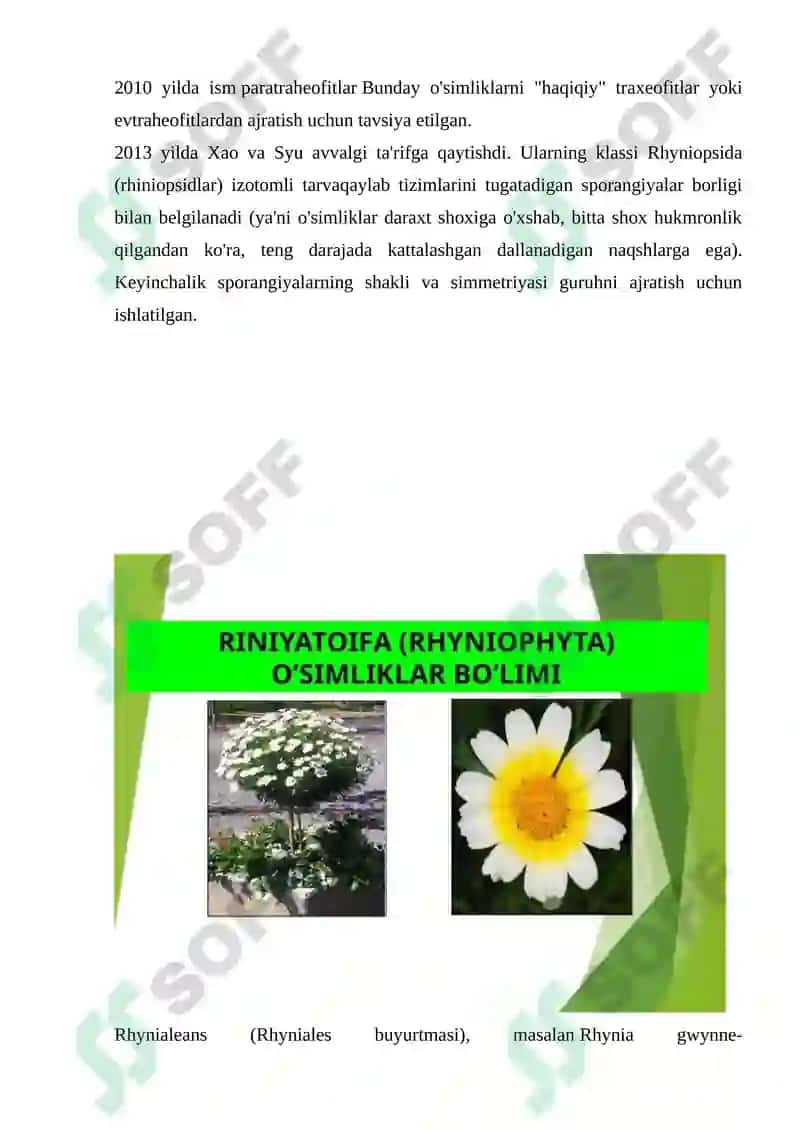 Riniyatoifa – Ryhniophyta o’simliklar bo’limi KURS ISHI 5