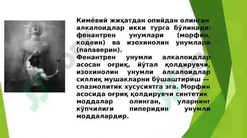 Оғриқ қолдирувчи моддалар 6