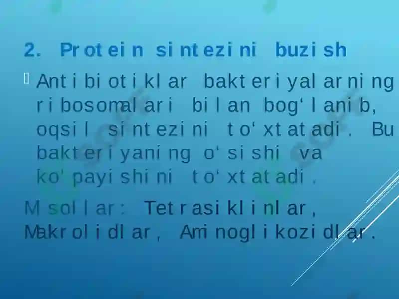Bakteriyalarning antibiotiklarga chidamli shakllarini paydo bo'lish mexanizmlari 6