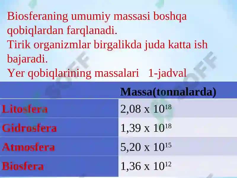 Biosfera mavzusida slayd 6